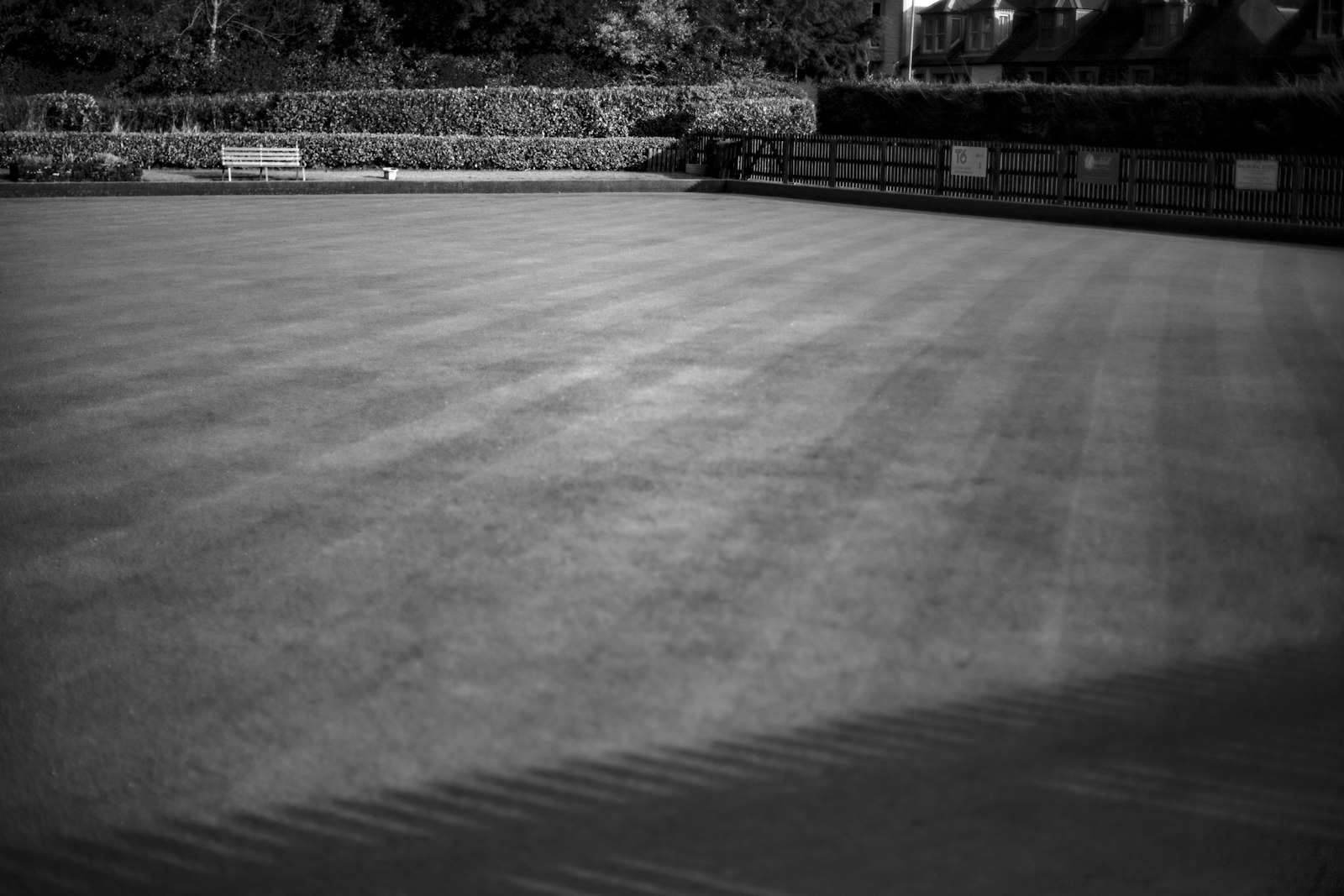 Stripe pattern mowed into a healthy green Bermuda lawn at golden hour.